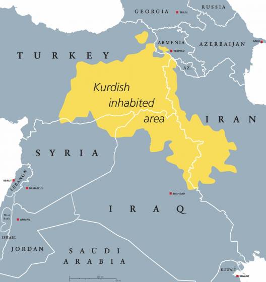 Zerocalcare presenta Kobane Calling Oggi: Isis è stato sconfitto ma la  guerra è peggio di prima 